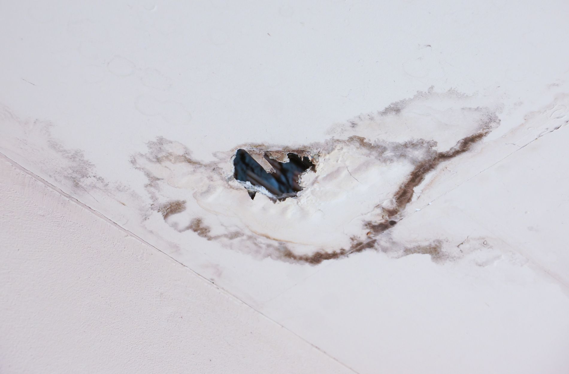 roof leak