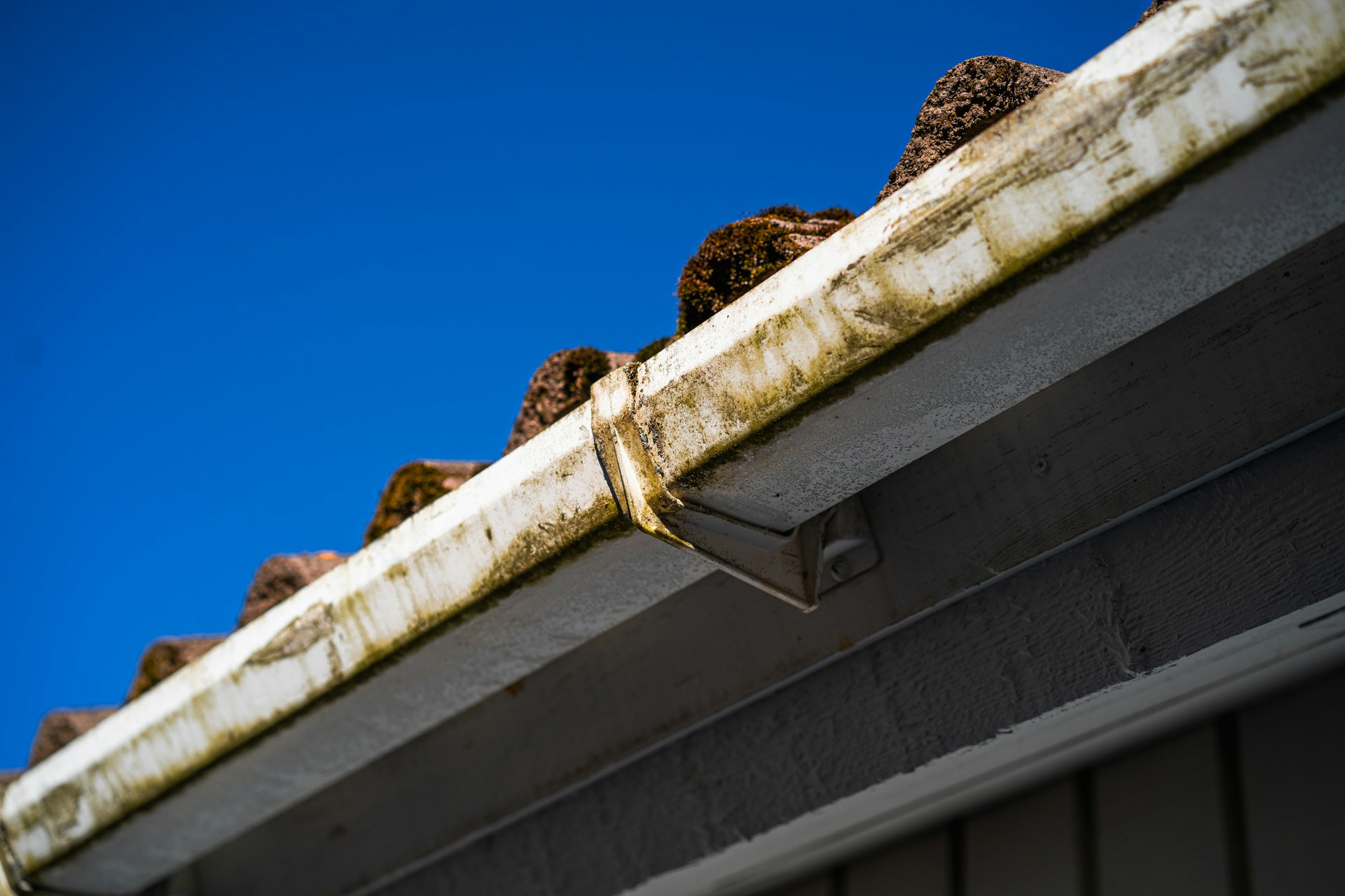 Gutter Repair